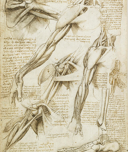  gettyimages-525373197-594x594 