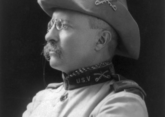  Theodore_Rooseveltnewtry 