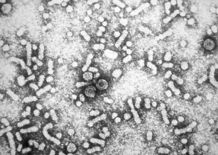 След като днес човечеството продължава да се бори с коронавируса