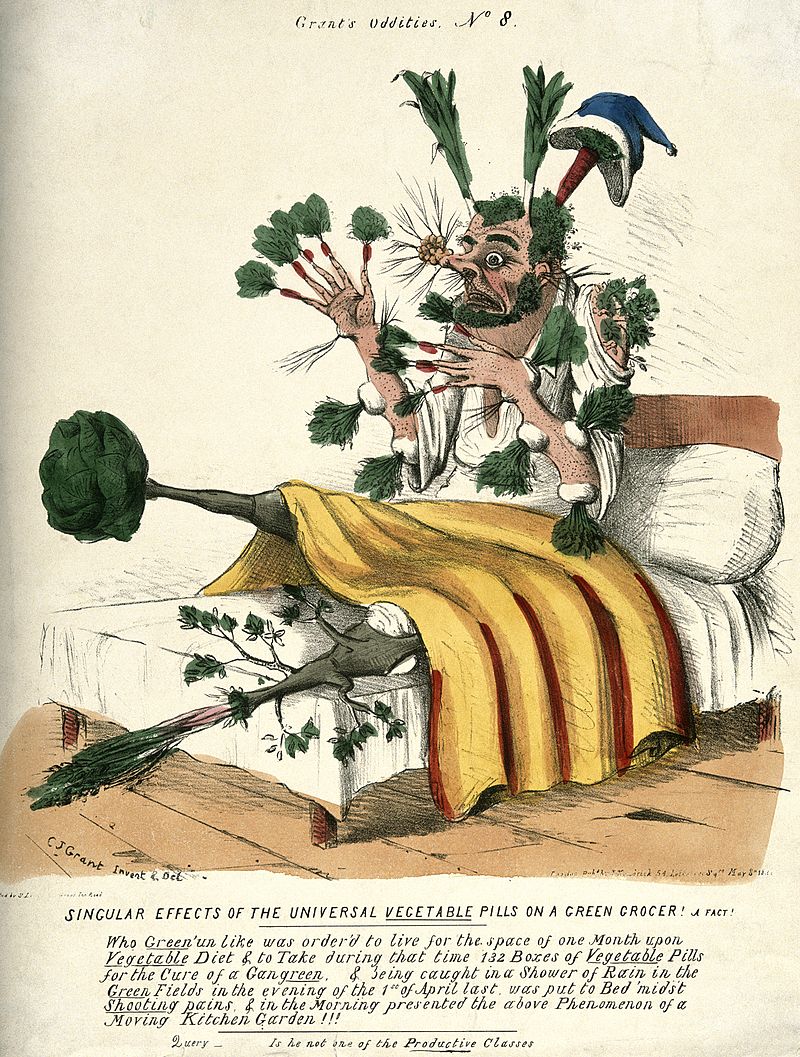  A_man_in_bed_with_vegetables_sprouting_from_all_parts_of_his_Wellcome_V0011125 