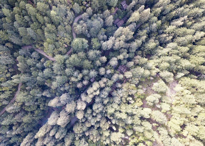  1200px-Aerial_Image_of_Bohemian_Grove_Buildings 