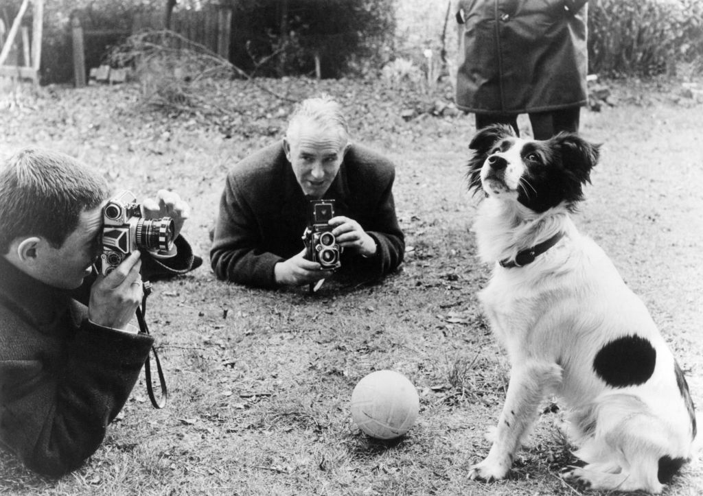  Soccer World Cup 1966: Dog Pickles finds the World Cup Trophy 