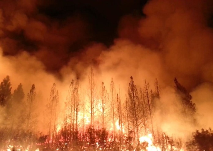 Димът от горски пожар се състои от различни газове и