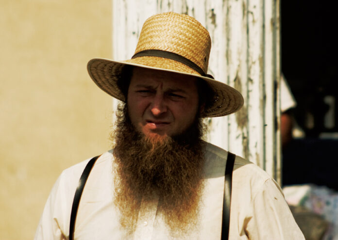 Амишите са група от силно традиционалистки християнски църковни общности, най-известни