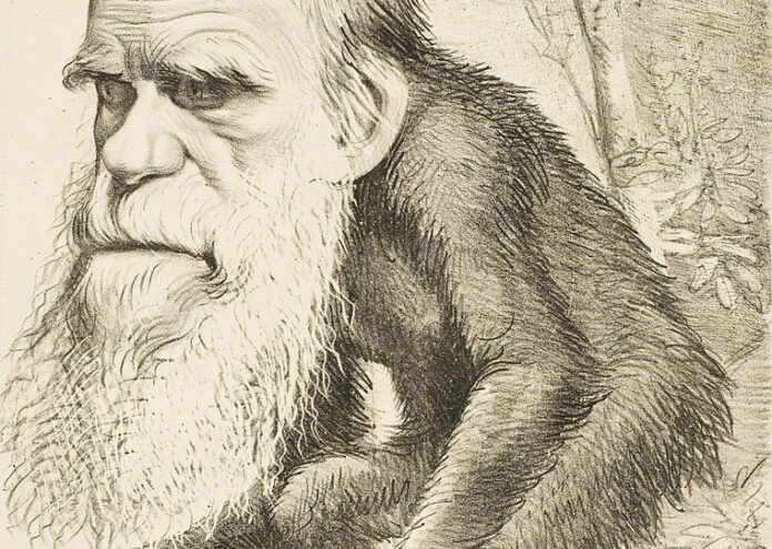 Слабата вяра в теорията за еволюцията е свързана с по-високо