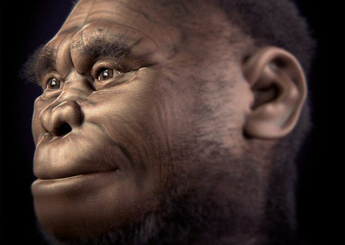 Когато изследователите откриват костите на Homo floresiensis в Индонезия през