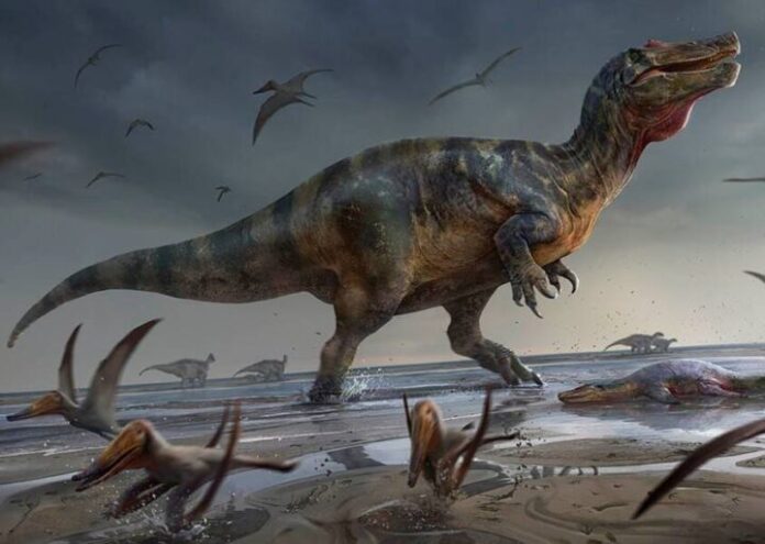 Английски изследователи откриха изцяло нов вид хищник динозавър от остров