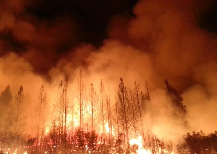 В Словения горските пожари, които обхващат страната, са достатъчно зле
