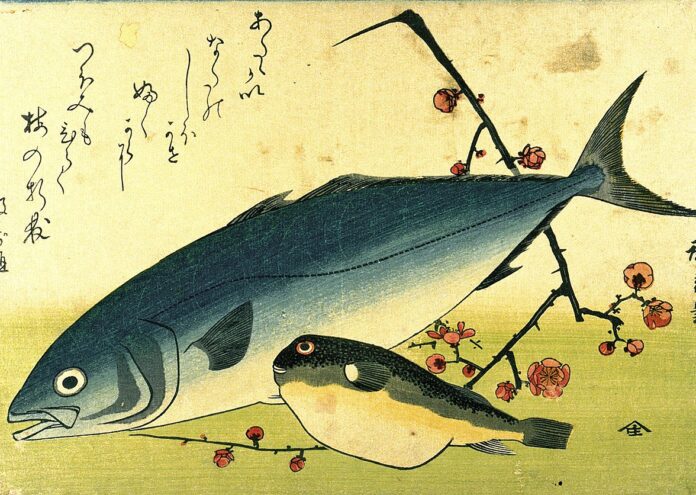 Фугу е японски деликатес, приготвен от нарязана на парченца риба