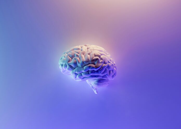 Според авторите на ново изследване нарастването на човешкия мозък феномен