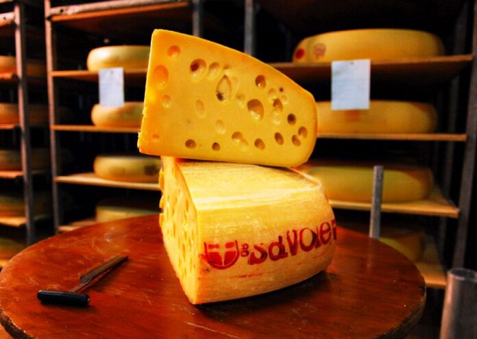 Тъй като сиренето се произвежда от мляко, видовете сирене обикновено